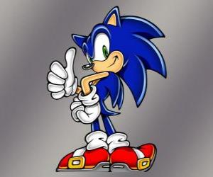 Puzzle Σόνικ ο Σκατζόχοιρος, ο κύριος πρωταγωνιστής των βιντεοπαιχνιδιών Sonic από Sega